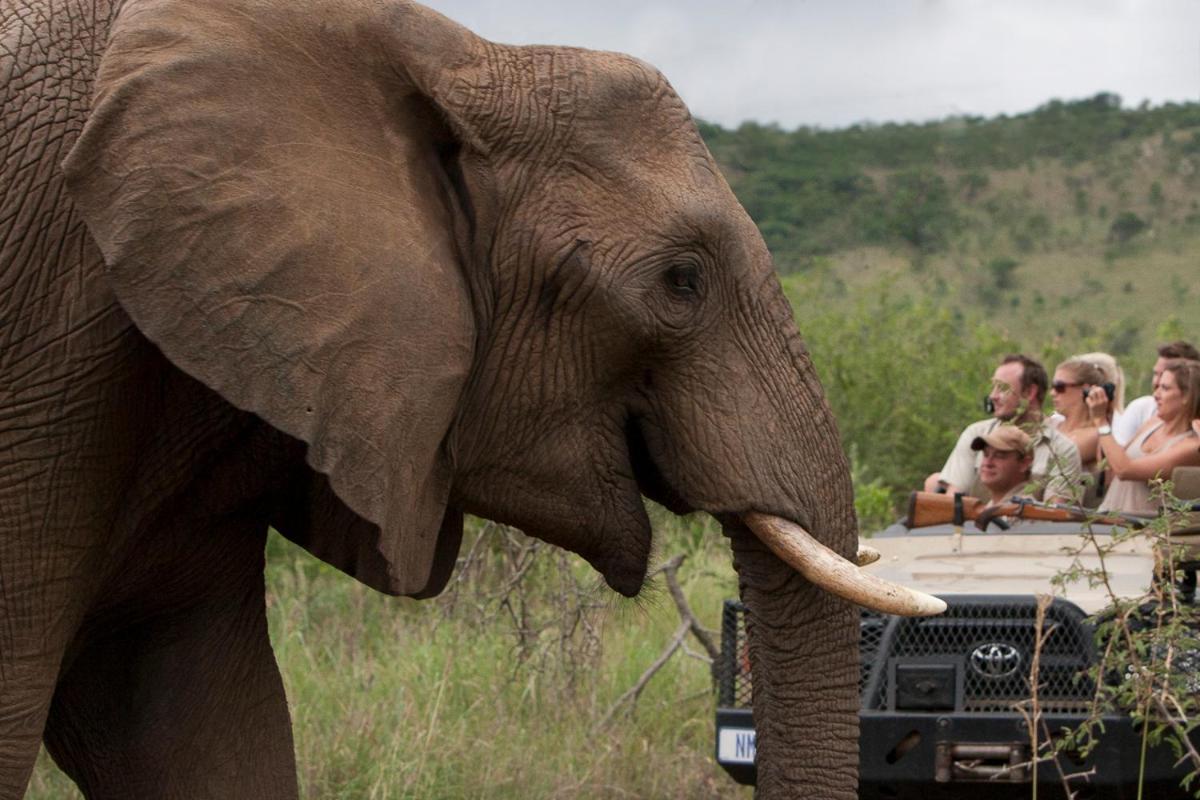 Amakhosi Safari Lodge&Spa Magudu Exteriör bild