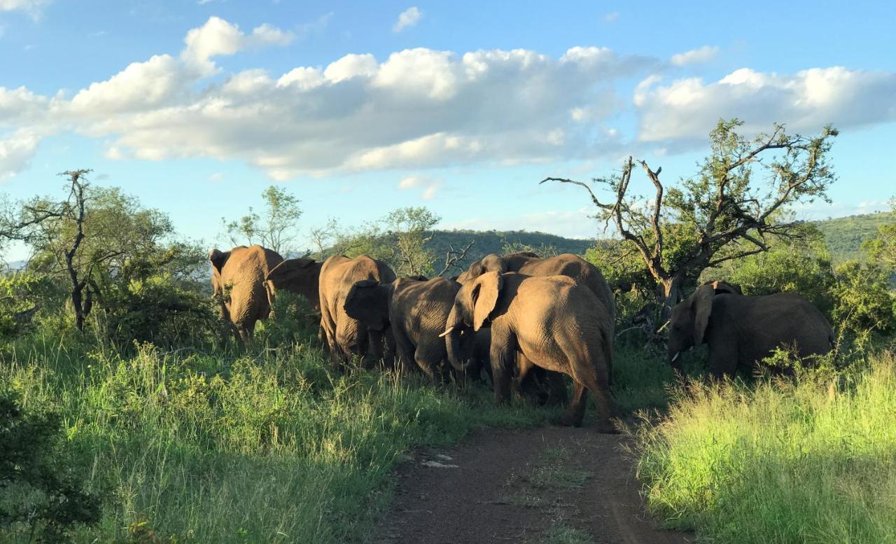 Amakhosi Safari Lodge&Spa Magudu Exteriör bild