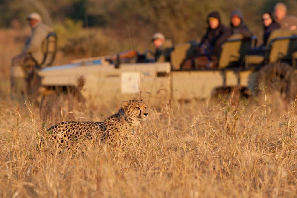 Amakhosi Safari Lodge&Spa Magudu Exteriör bild