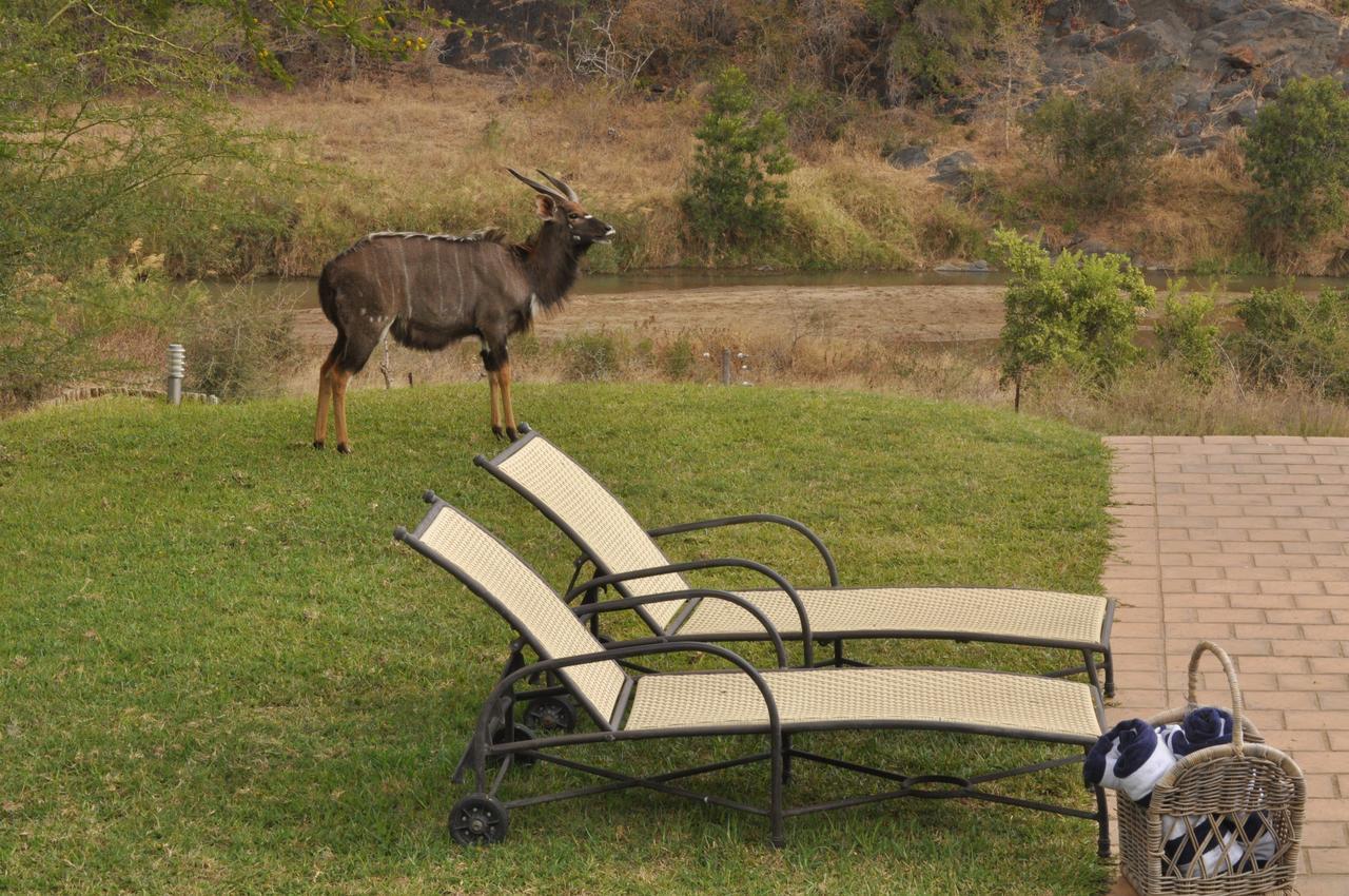 Amakhosi Safari Lodge&Spa Magudu Exteriör bild